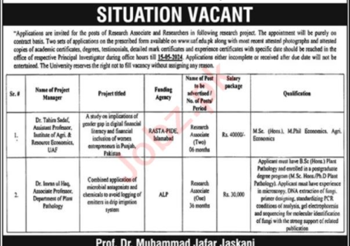 University of Agriculture UAF Research Jobs Faisalabad