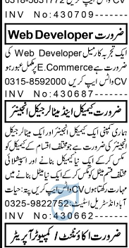 Web Developer And Accountant Management Jobs