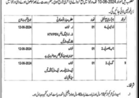 Tehsil Headquarter Hospital THQ Labor  Neelum Valley Jobs 2024