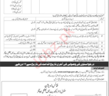  National Saving Finance Division Labor Jobs Islamabad 2024